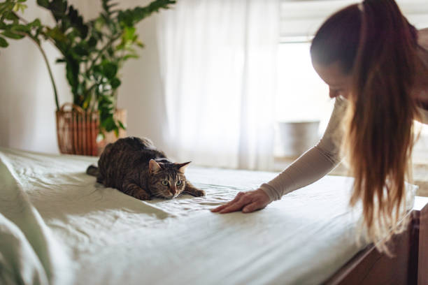 istock Woman Bonding with Cat Indoors 2206665720