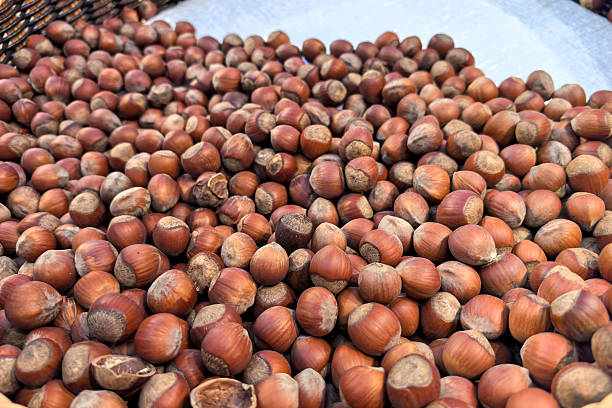 A vast array of freshly harvested hazelnuts fills the market stall, showcasing their rich, brown shells under the soft glow of autumn sunlight. The ambiance is warm and inviting, perfect for browsing.