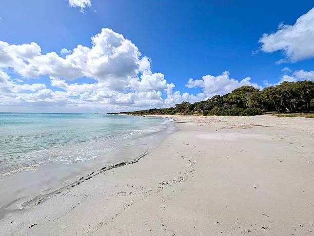 istock Beautiful beach with white sand and turquoise waters surrounded with lush vegetation in Cape Naturaliste, Western Australia 2206667433