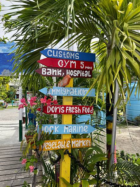 istock Colorful tropical direction signpost surrounded by palm trees and flowers 2206673526
