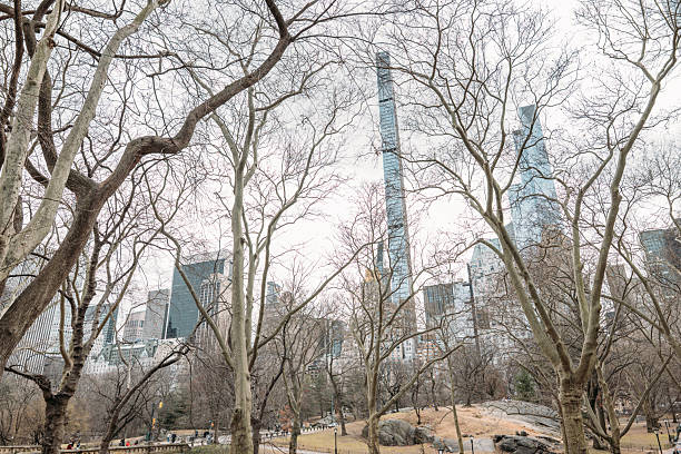 Leafless trees in a city park frame a skyline of tall buildings. The bare branches create a web-like pattern against the urban backdrop. A tranquil urban nature scene.
