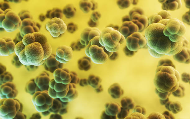 istock Human Cell Embryonic Stem Cell, Depth Of Field 2206676203