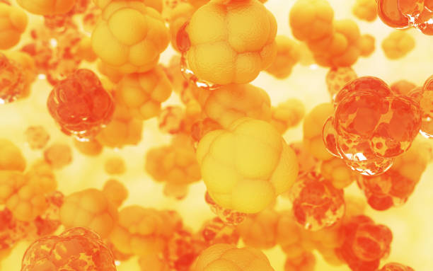 3d render Macro Human Cell Embryonic Stem Cell, Medical and Macro Concept (Depth Of Field)