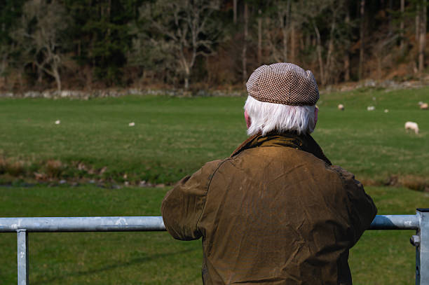Mature man leaning on a gate looking at livestock in a field on a spring afternoon in rural Scotland