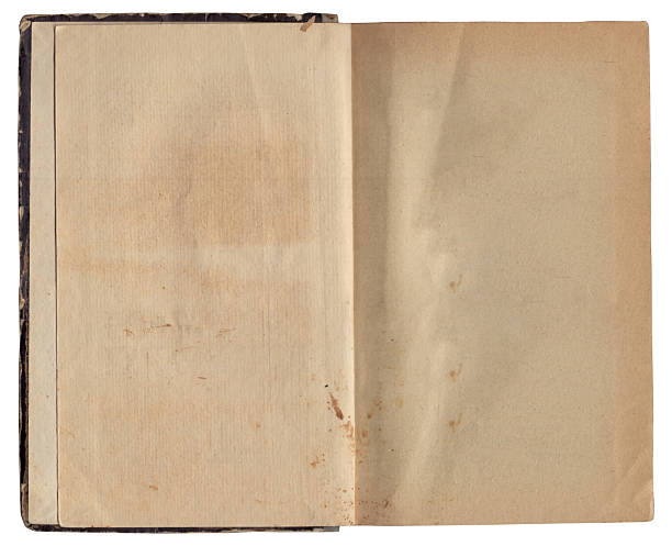 istock Vintage empty background of old book paper texture isolated 2206678730