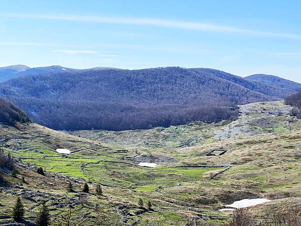 istock Mountain pastures and mixed forest in early spring - Velebit Nature Park, Croatia (Planinski pašnjaci i miješana šuma u rano proljeće - Park prirode Velebit, Hrvatska) 2206680026