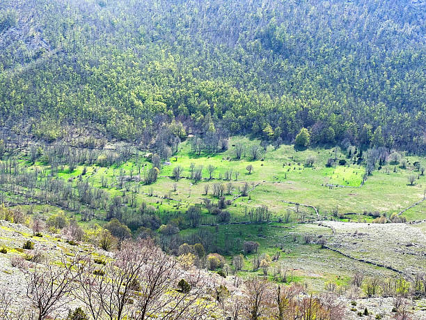 istock Mountain pastures and mixed forest in early spring - Velebit Nature Park, Croatia (Planinski pašnjaci i miješana šuma u rano proljeće - Park prirode Velebit, Hrvatska) 2206680063