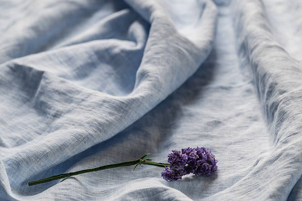 istock Sprig of Statice flower on linen light blue tablecloth. Spring delicate floral background, selective focus. 2206683659