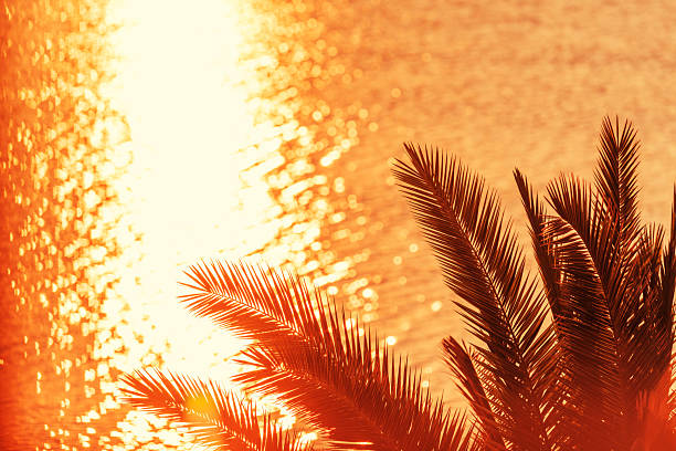 Seascape in the early morning during a beautiful sunrise. Palm trees on the beach. San Juan beach, Alicante, Spain