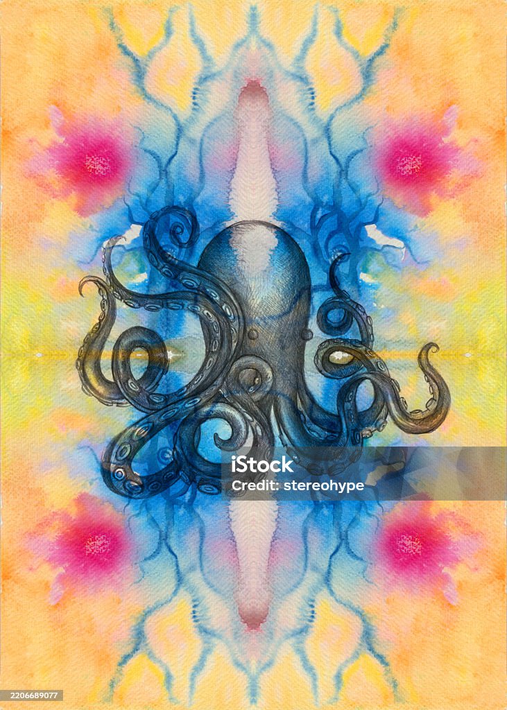 Octopus Graphite Octopus Hut Stock Illustration - Download Image Now - Algae, Animal ...