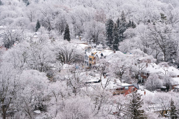 Houses and Frost