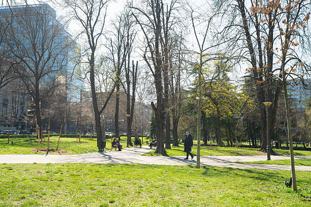Belgrade, Serbia. March 21, 2025. Winter panoramic view of Manje park in the city center