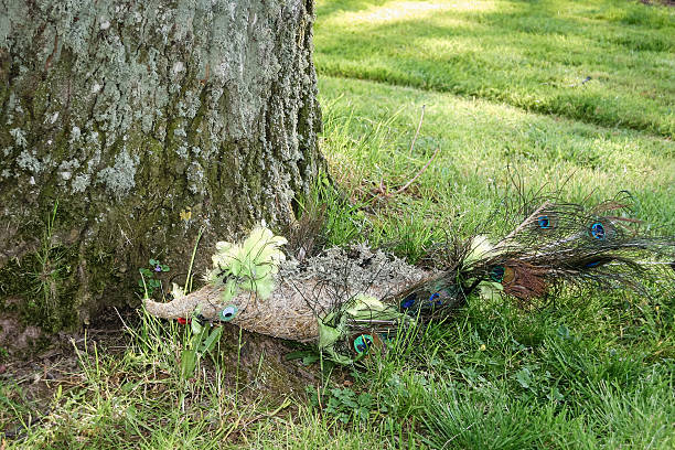 Bird decoration, made with peacock feathers in the tail, wings and crest on the head; placed on the ground in the grass near the trunk of an oak tree.