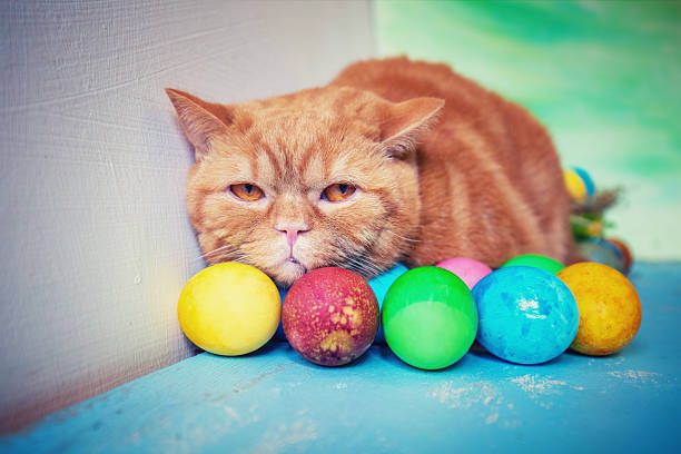 istock Cute ginger cat lying on wooden table near colorful easter eggs 2206695009
