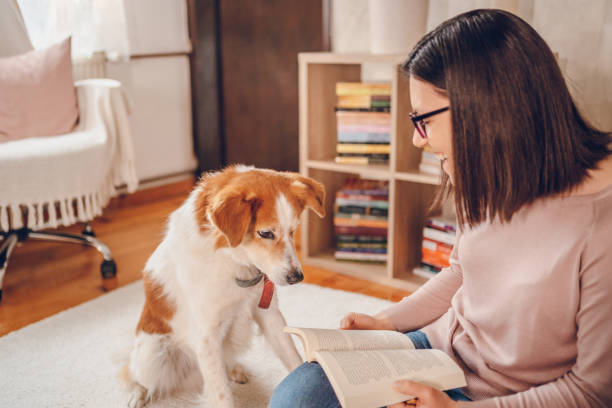 istock Woman love her dog 2206695685