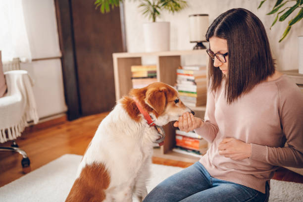 istock Woman love her dog 2206695982