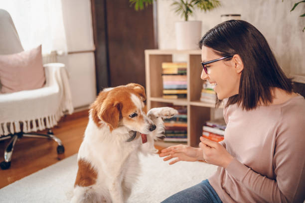 istock Woman enjoy with dog at home 2206696006