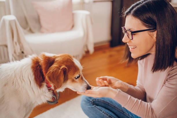istock Woman love her dog 2206696212