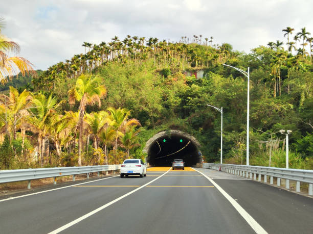 Highway tunnel surrounded by palm trees in central Hainan, China.