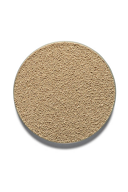 istock Macro photo of nutritional yeast texture on white background 2206709279