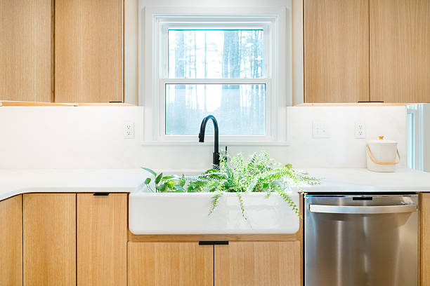 istock Watering house plants in the Kitchen Sink 2206712862