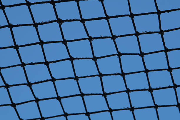istock A black netting stretches across the view, creating a grid against a bright blue sky. The sunlight highlights the contrast, adding depth to the scene and inviting curiosity 2206713292