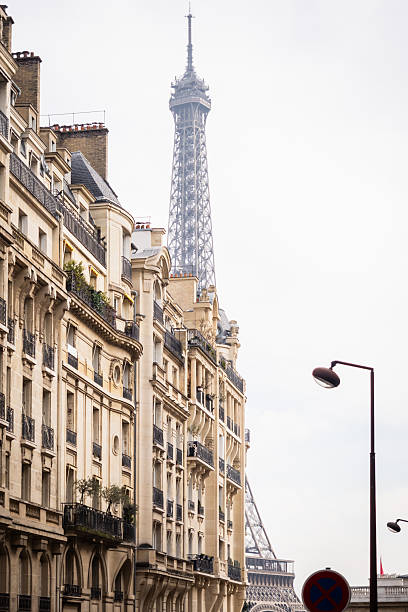istock The Eiffel Tower revealed behind the magnificent building in Paris 2206724186