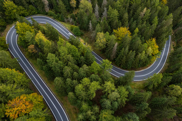 istock Scenic Winding Road Through Dense Forest From Aerial View 2206724432