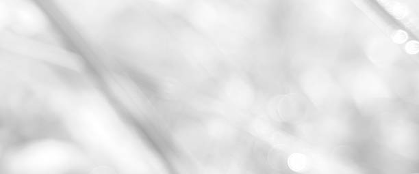 istock White abstract background with blurred light streaks and bokeh. Premium bokeh photos with bright, elegant and clean colors, backgrounds for website banners and desktops. 2206725156