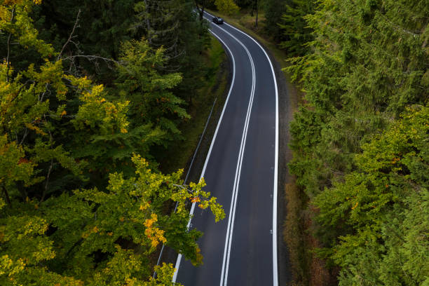 istock A Serene Road Through Dense Forest Seen From Above 2206725220