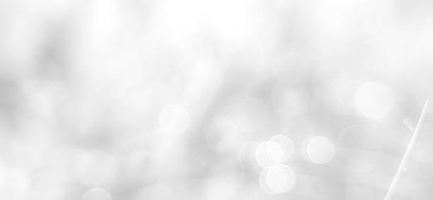 White abstract background featuring soft, blurred circles of light creating a dreamy and ethereal ambiance. Realistic bokeh photos for website banner backgrounds with bright colors.