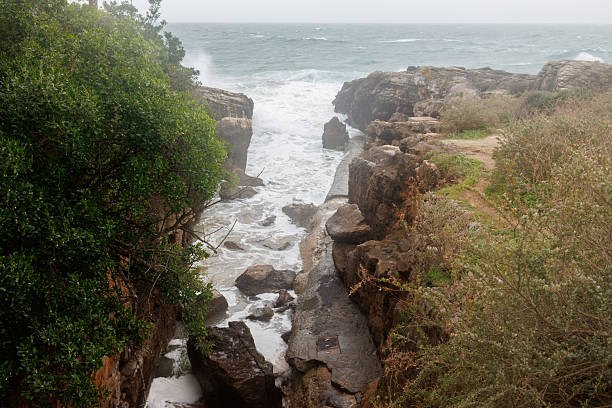 Dramatic seascape showing waves hitting rugged coastal cliffs, surrounded by dense vegetation under an overcast sky. Wild and untamed nature. Stock photo