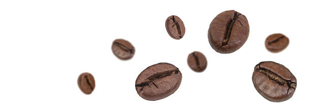 istock Falling coffee beans isolated on white background. Flying defocused coffee beans. Applicable for cafe advertising, packaging, menu design. Banner. 2206730179