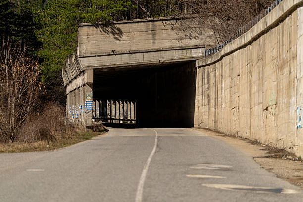 The end of a tunnel leading to the lush, green outdoors.