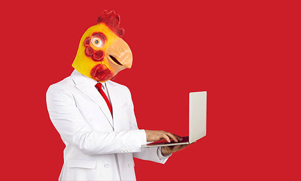 istock Funny crazy man in suit and chicken mask using laptop isolated on red background 2206740710