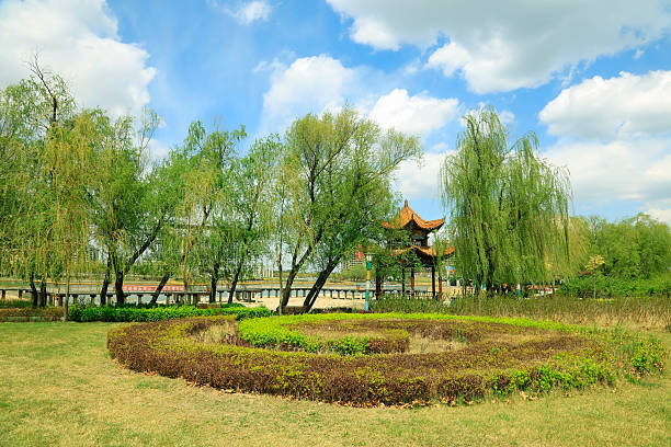 Pavilions and green trees in the park