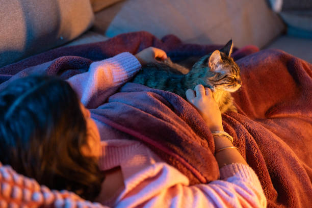 istock Young woman relaxing on sofa with her cat under blanket 2206746519