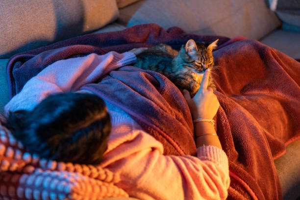 istock Woman relaxing on sofa, gently petting her cat under warm blanket 2206746622