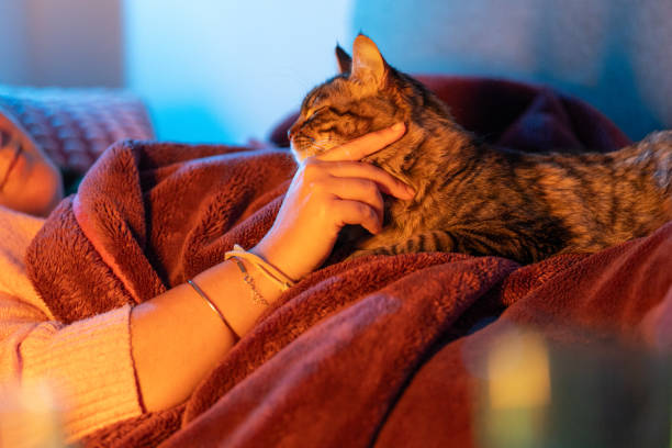 istock Woman relaxing on bed, caressing her sleepy cat 2206746691