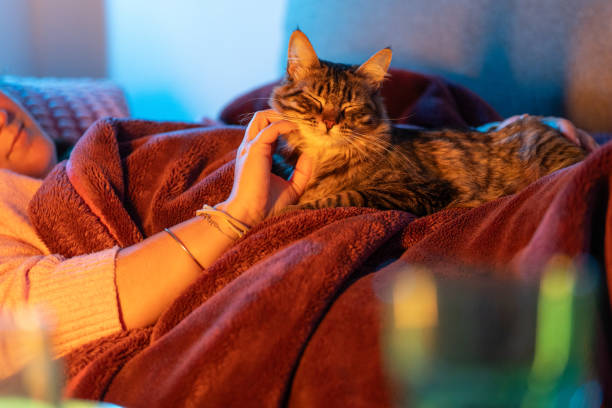 istock Woman relaxing on sofa with her cat: showing affection and love 2206746717