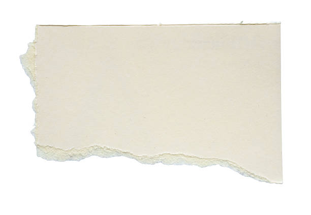 istock White ripped paper torn edges strips isolated on white background 2206747238