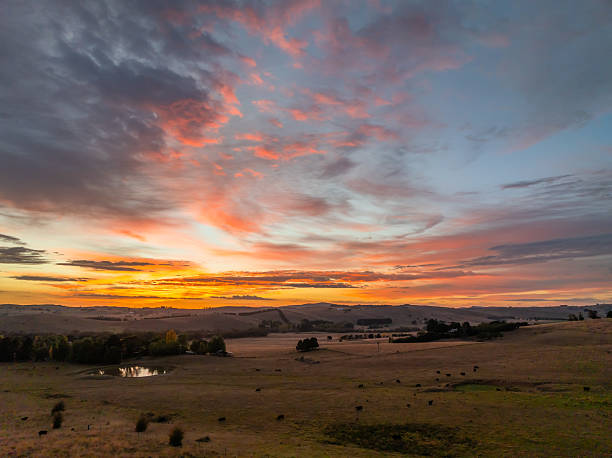 istock Sunrise light over the countryside 2206751092