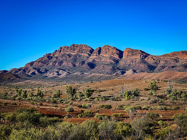 istock Ikara Flinders ranges national park 2206753176