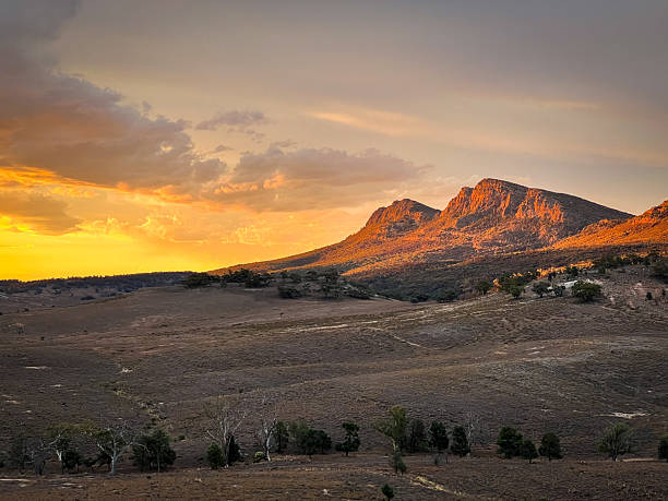 istock Ikara Flinders ranges national park 2206753191