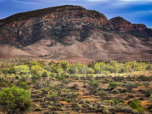 istock Ikara Flinders ranges national park 2206753225