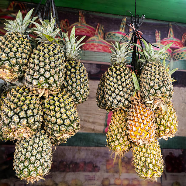 Ripe pineapples hanging in a traditional market stall