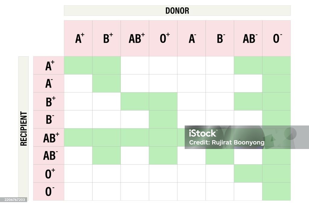 Ilustración de Abo Blood Groups Abo Blood Compatibility Chart Blood