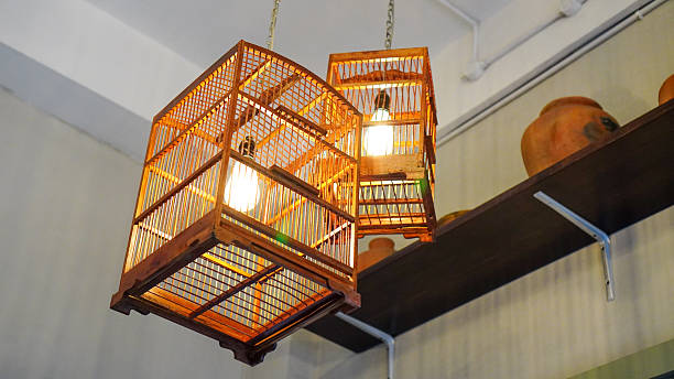 istock Classic chandelier with bird cage cover concept 2206768650