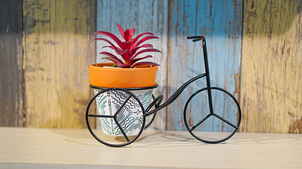 Close up of a decorative bicycle holding a potted plant adds a touch of charm to any interior decor project.