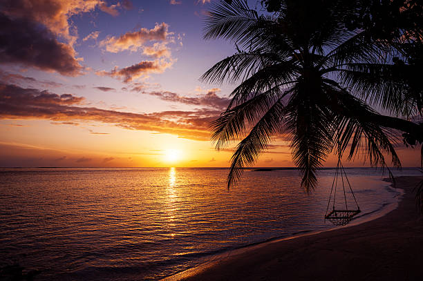 istock Tropical paradise beach with dramatic sky and colorful clouds during the sunset 2206770066